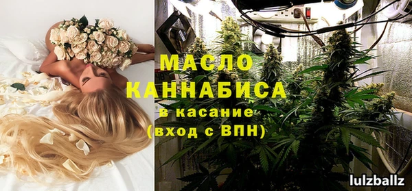 амф Верея