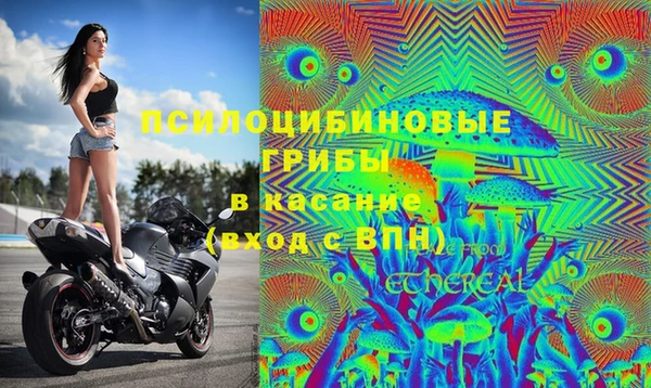 амф Верея